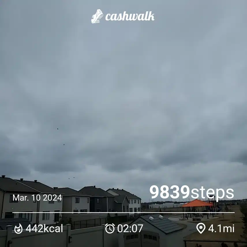 CashWalk_share_capture_20240310_9a6e6e18-396e-43b7-9623-0d0a43d5