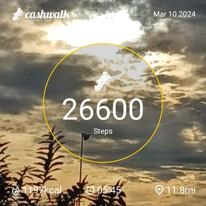 CashWalk_share_capture_20240310_147535bf-22d7-419b-9c79-0760e032