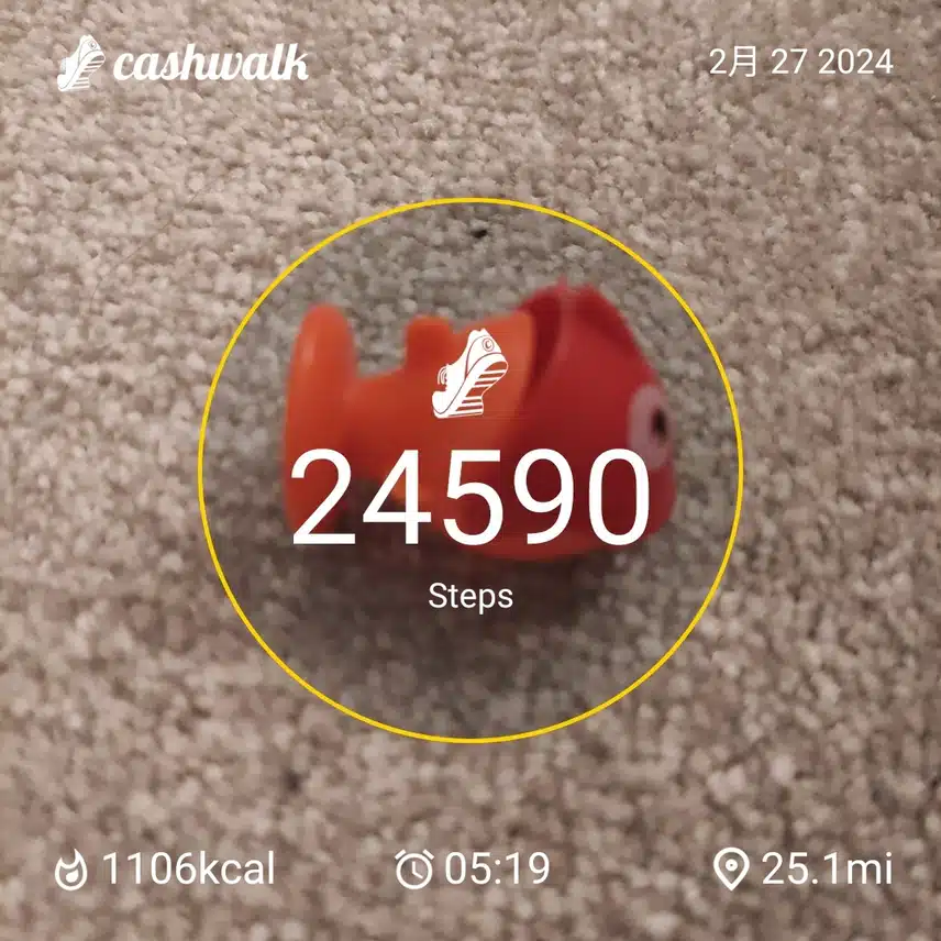 CashWalk_share_capture_20240227_d2ce57e6-41f4-4560-b91a-447c0b75