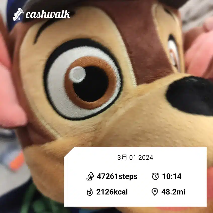 CashWalk_share_capture_20240301_6c3c8dbd-851f-4321-b0da-a150fad6