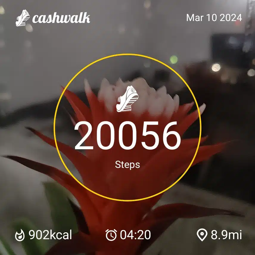 1000031271.jpg_resize