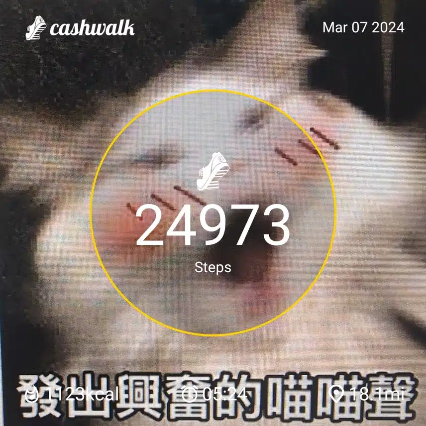 CashWalk_share_capture_20240307_48da1817-f44e-45d5-8fad-f704a02e