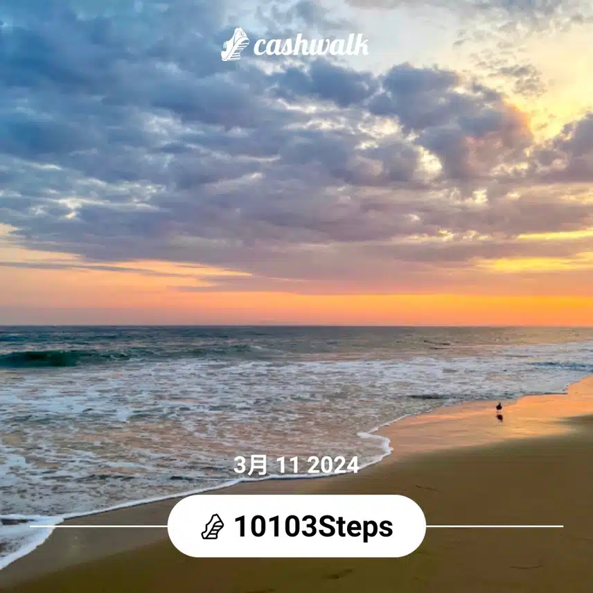 CashWalk_share_capture_20240311_f83b4d25-359c-4aad-b614-bb0248ab