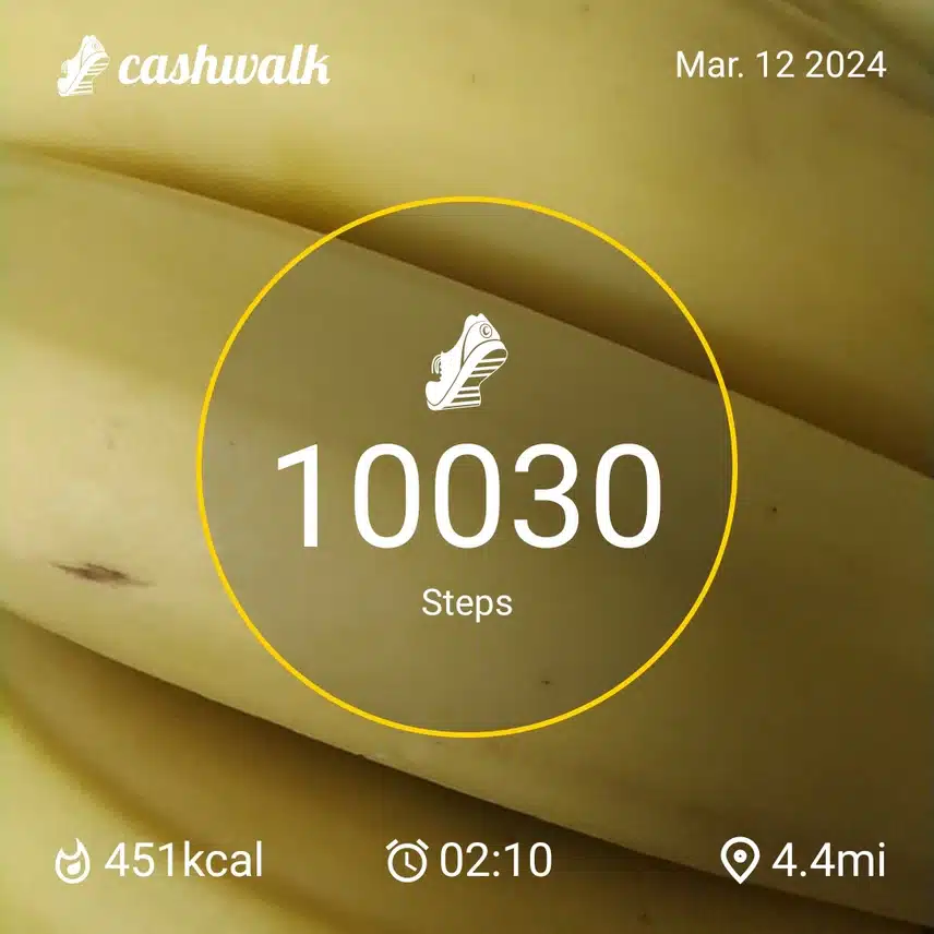 CashWalk_share_capture_20240312_036b8983-c5d2-40fc-8ee3-39a496d6