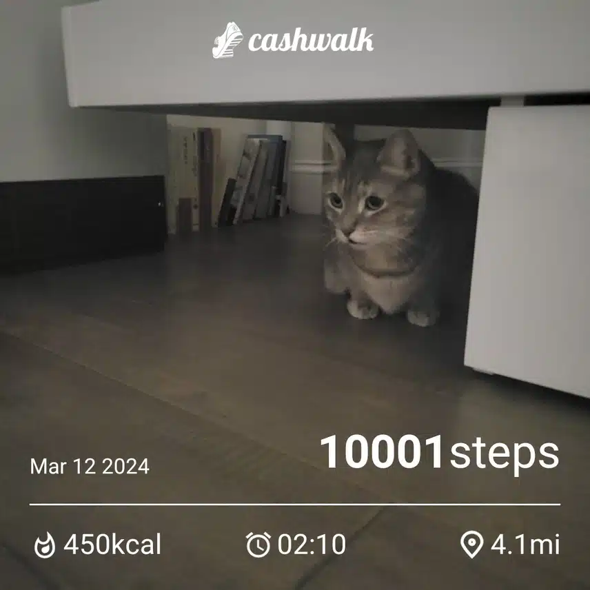 CashWalk_share_capture_20240312_0b29011f-f0a0-4fee-84a3-71062d14
