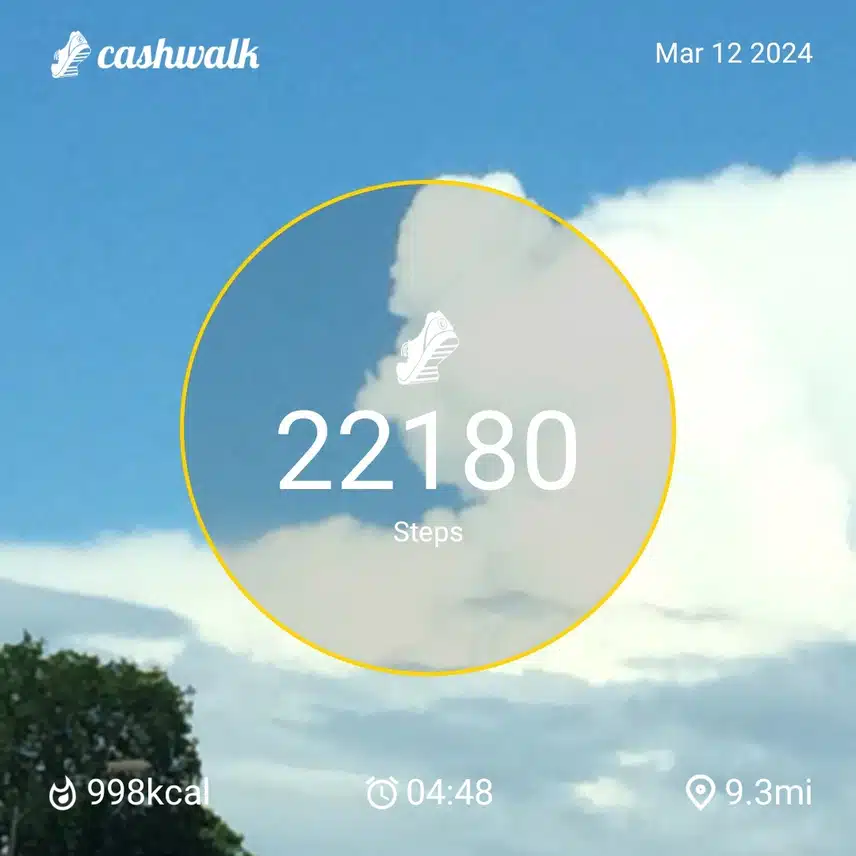 1000004638.jpg_resize