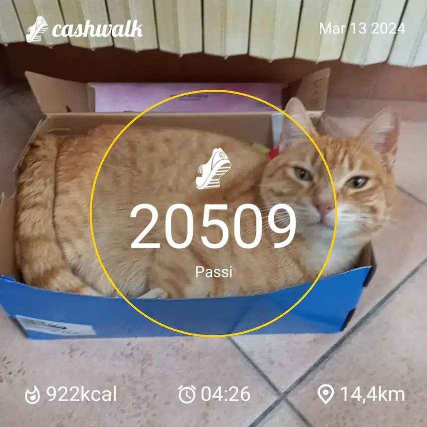CashWalk_share_capture_20240313_82045948-b0bf-4aa5-b94b-45280742