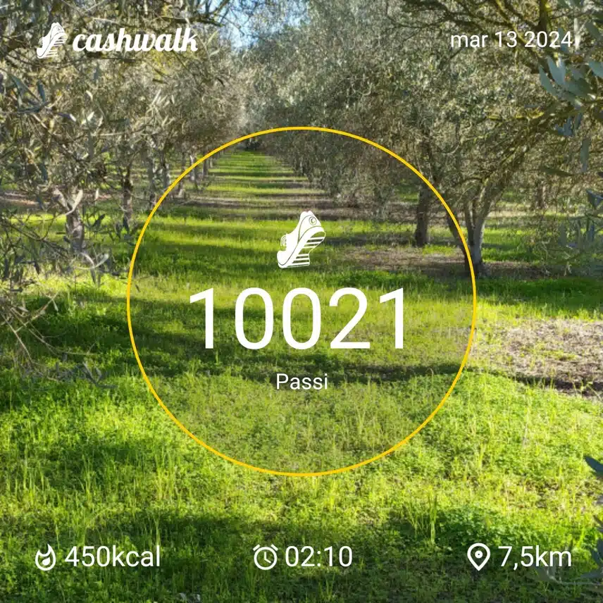 CashWalk_share_capture_20240313_1993f186-ea8c-4957-8c3b-e3bc49e8