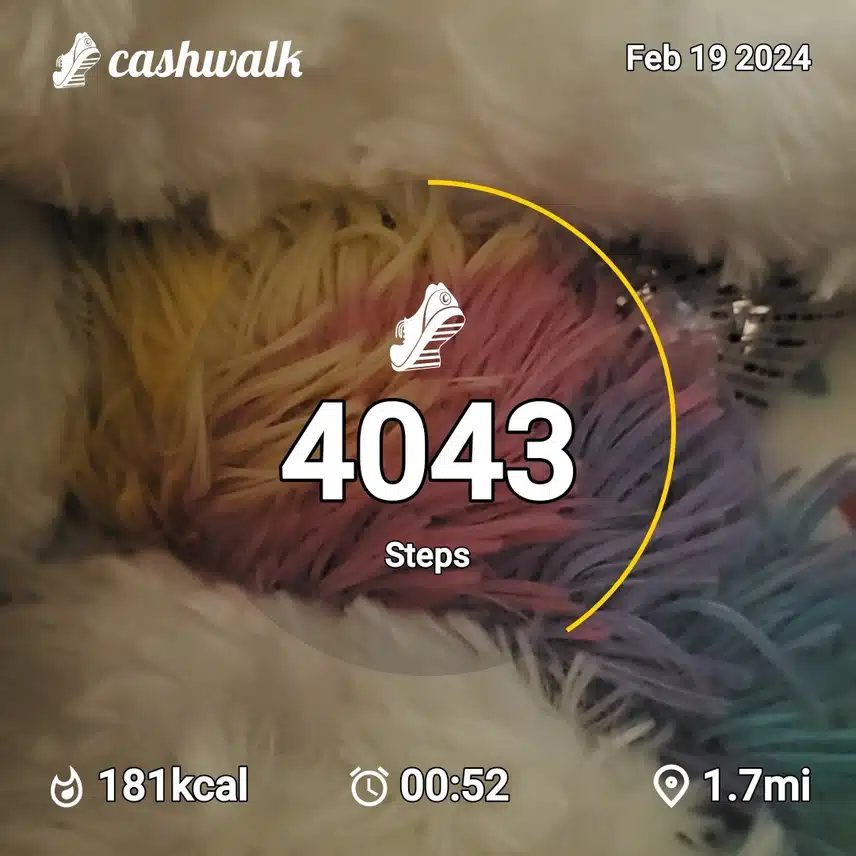 CashWalk_share_capture_20240219_10199610-6016-4d78-9660-55a15f09