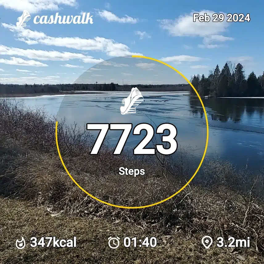 CashWalk_share_capture_20240229_c8e1cbef-9e18-463d-a1be-4e641796