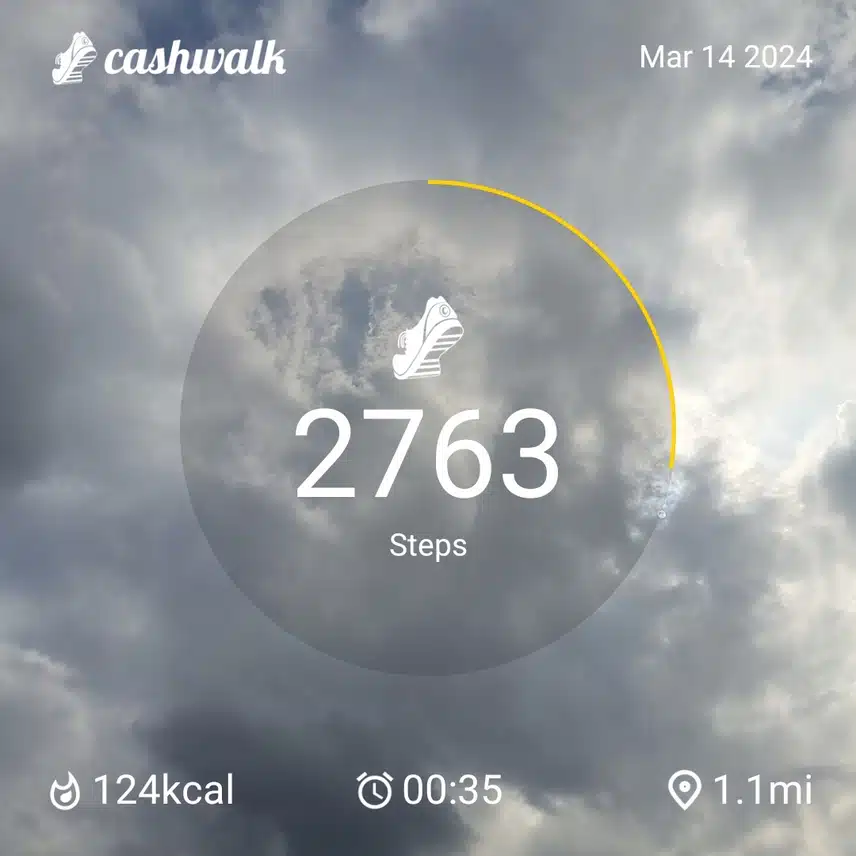 1000008744.jpg_resize