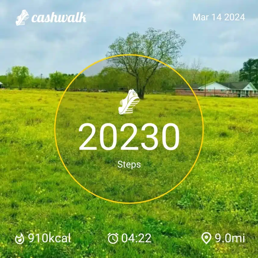 CashWalk_share_capture_20240314_16de2219-f3bf-4705-af46-9fd0d777