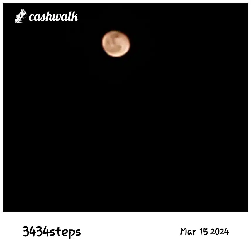 CashWalk_share_capture_20240315_1b787c05-f547-4dbc-8218-16f88f9d