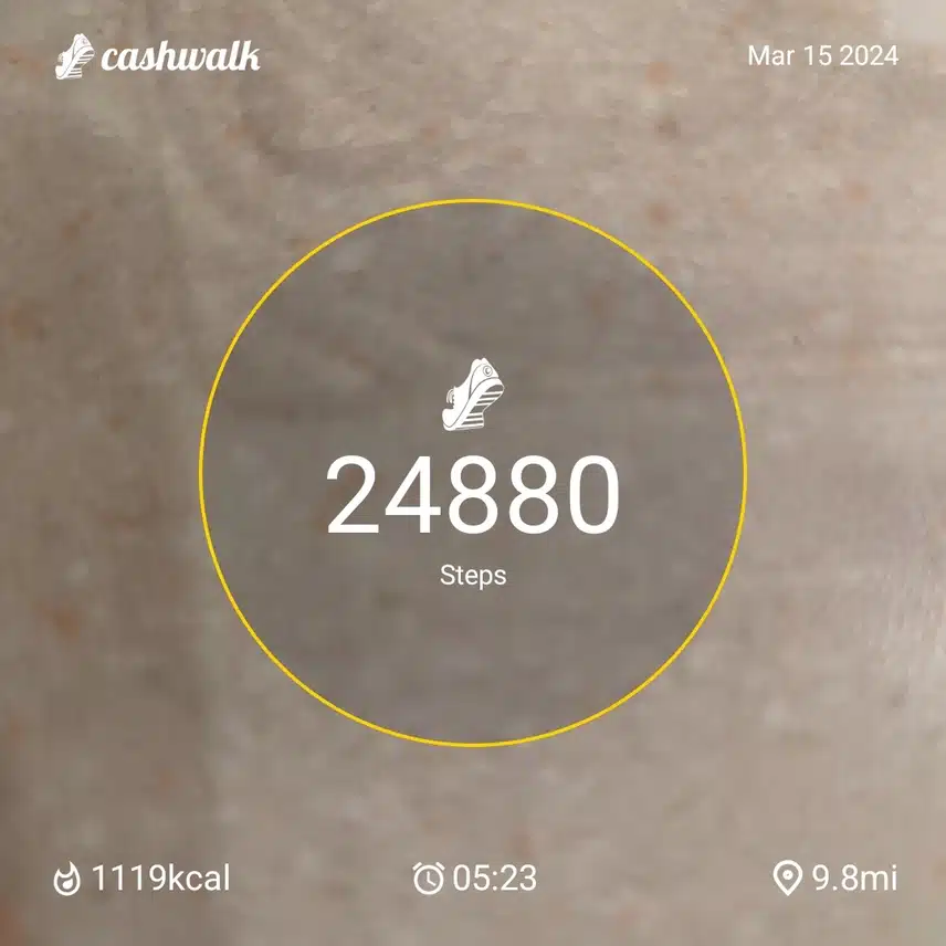 1000011828.jpg_resize