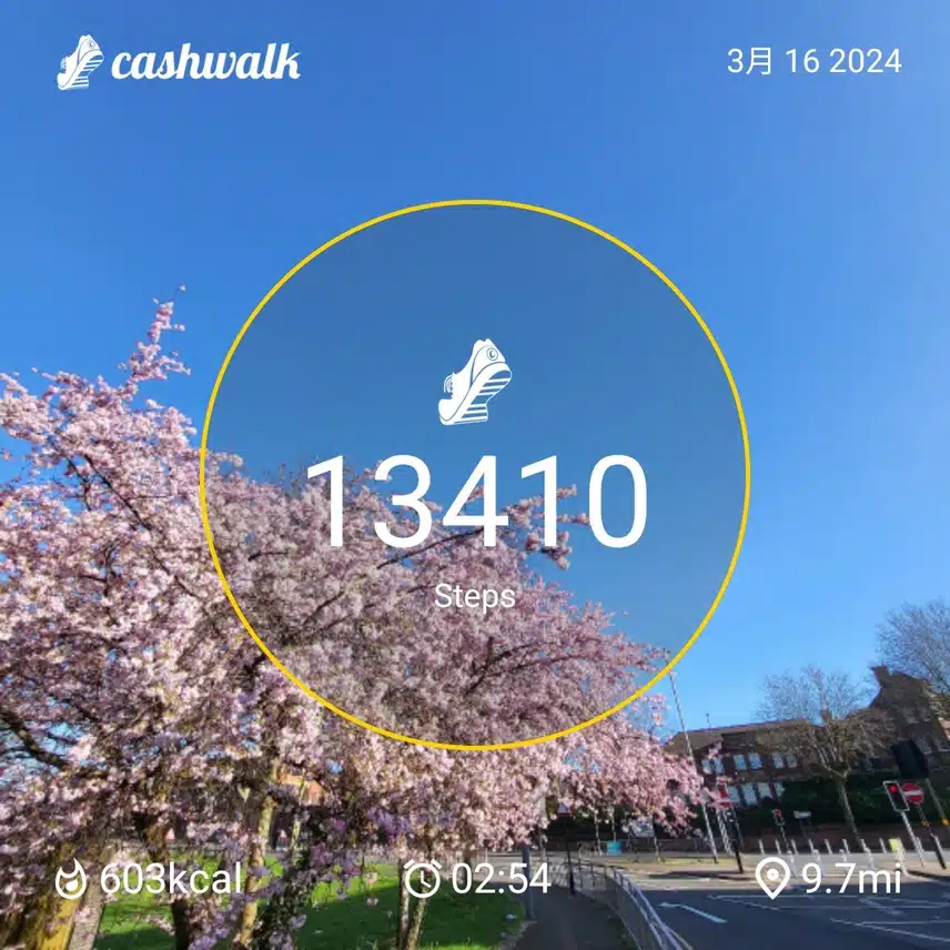 CashWalk_share_capture_20240316_21521332-5bf3-414e-b5b6-bbaceb1b