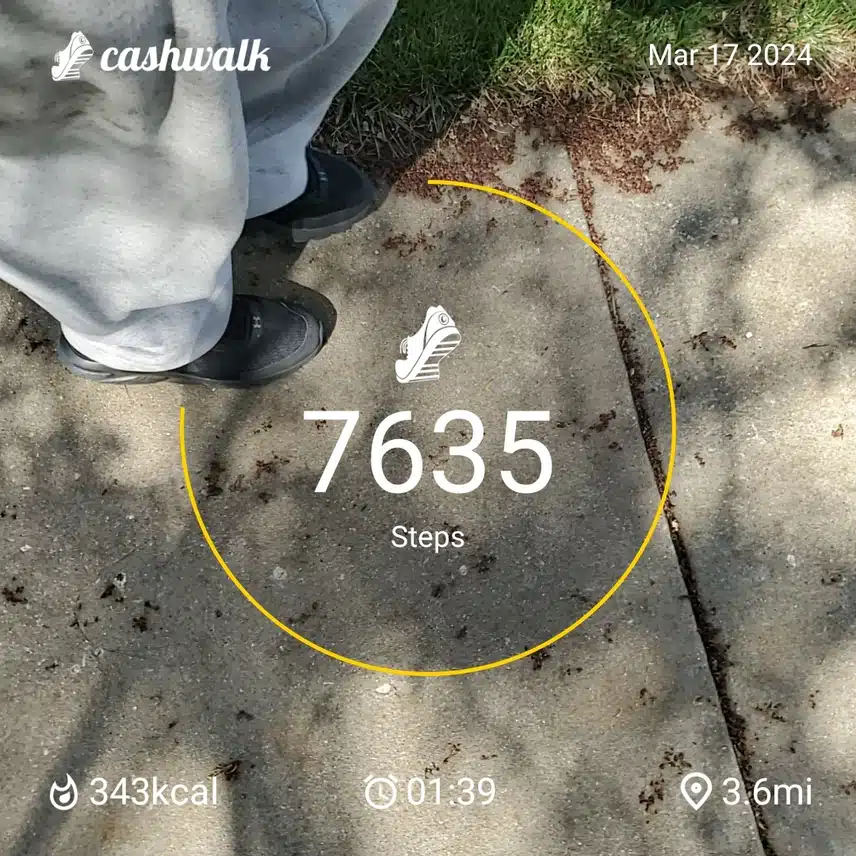 CashWalk_share_capture_20240317_438d722a-e4c8-42b3-ba1a-e91420a2