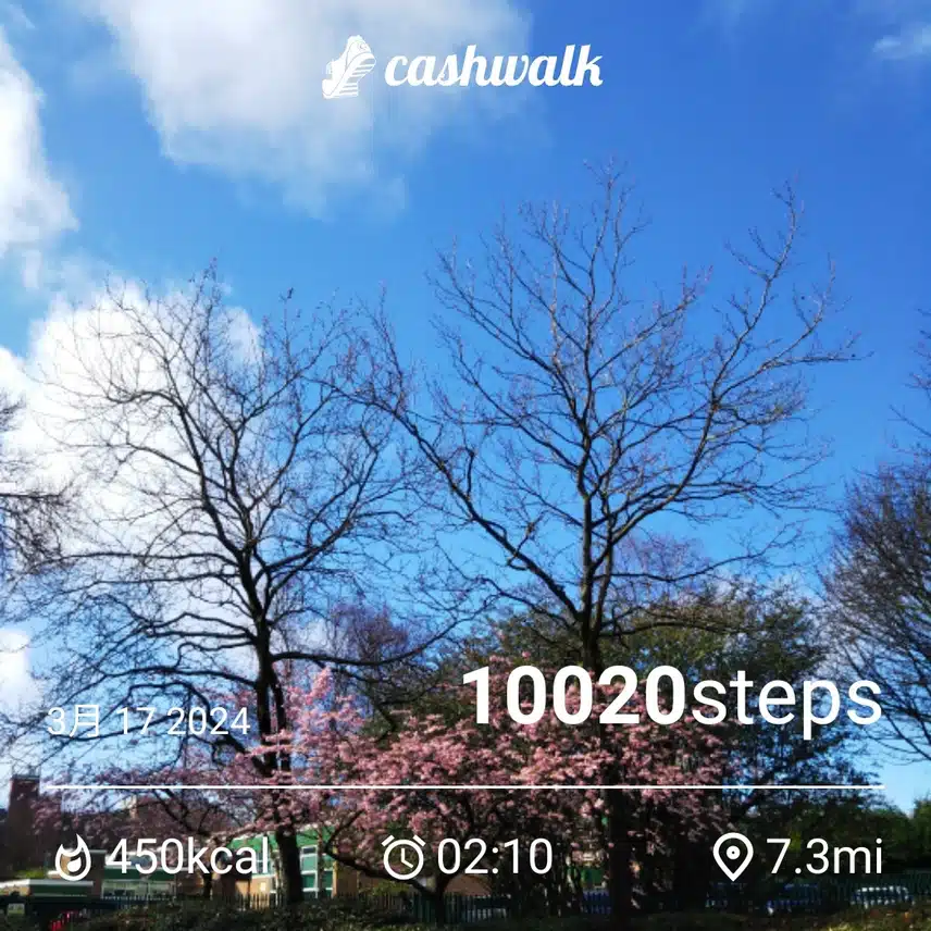 CashWalk_share_capture_20240317_83177d33-73c4-434c-a07f-755da87c