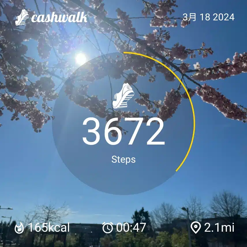 CashWalk_share_capture_20240318_cf82fb99-7d7a-4f95-9492-141418d8