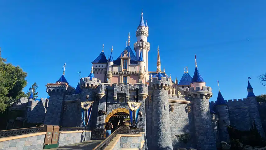 1000024086.jpg_resize