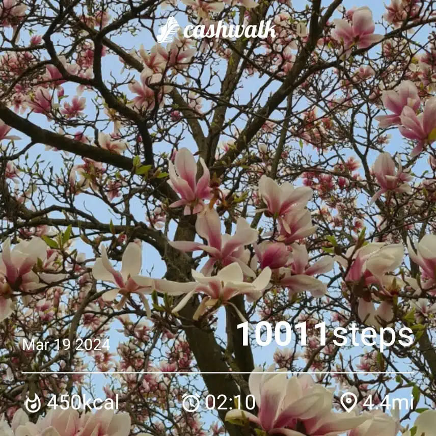 1000018665.jpg_resize