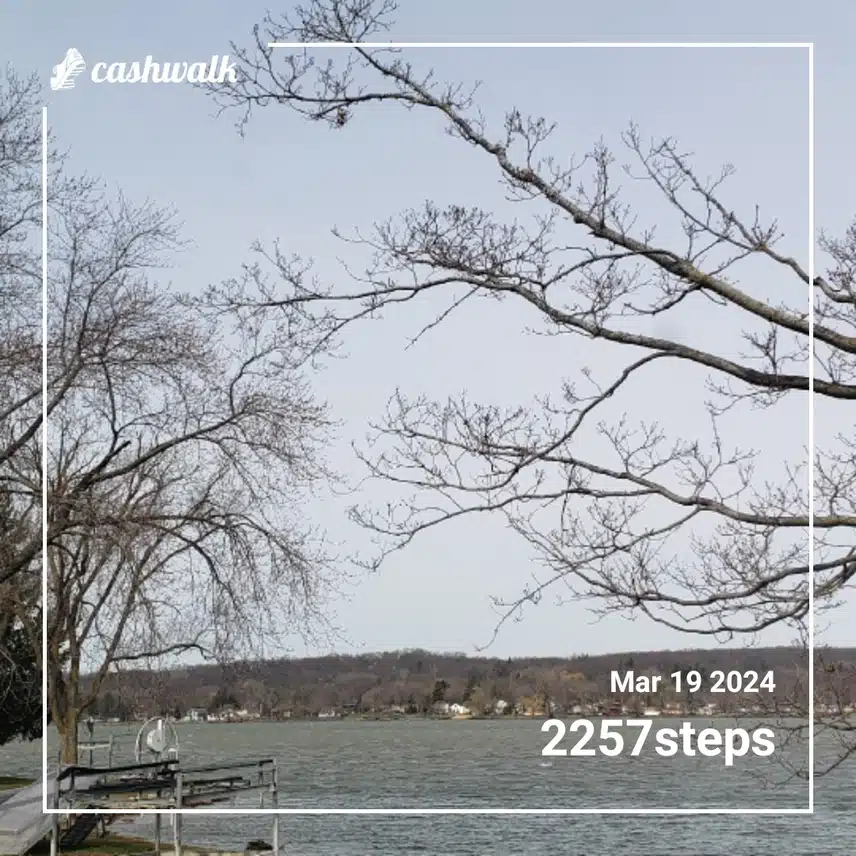 CashWalk_share_capture_20240319_f76b248f-711b-47b3-a1f1-ba576c8f