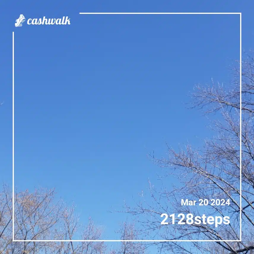 CashWalk_share_capture_20240320_8a477402-698e-46a2-8d8f-43453cde