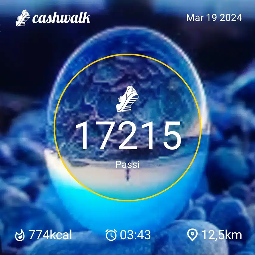 CashWalk_share_capture_20240319_6a958cb5-64ca-4410-80cf-4bc94f09
