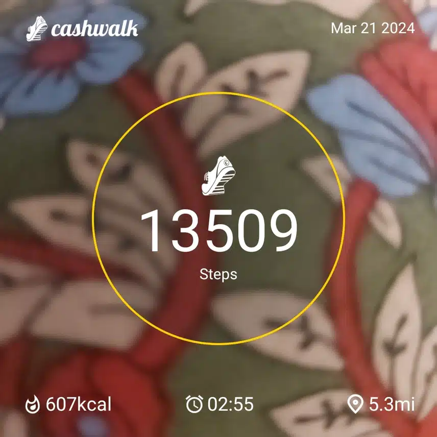 CashWalk_share_capture_20240321_09357bee-f998-4f4a-924e-e567f62d