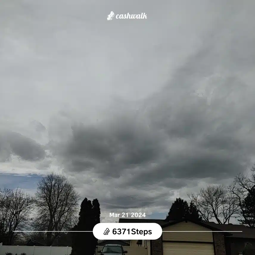 CashWalk_share_capture_20240321_37941831-7c52-481e-a655-a0a11e7e