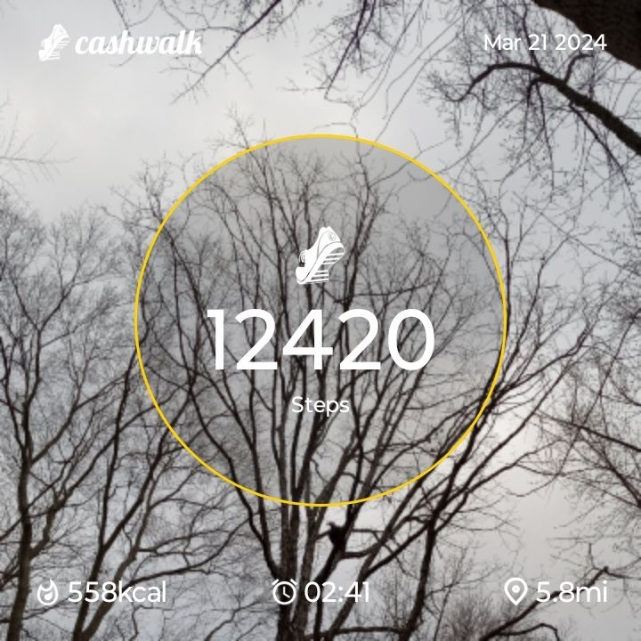 CashWalk_share_capture_20240321_a0b23b9b-7c72-4c77-abe9-231c8ba6