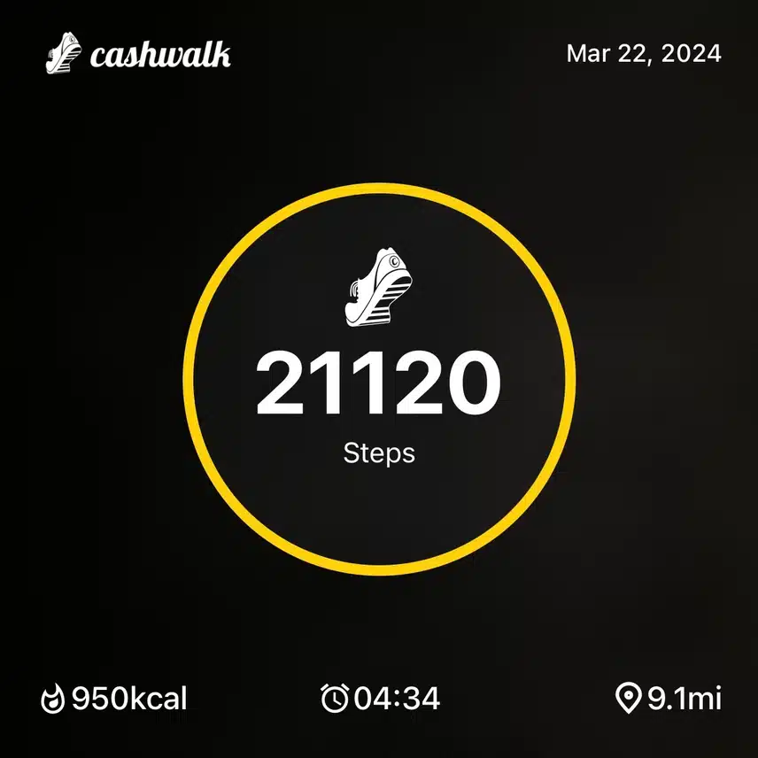 IMG_9991.jpeg_resize