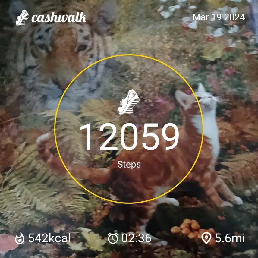 CashWalk_share_capture_20240319_abecb927-80a0-4226-a39d-0a2e1ccd