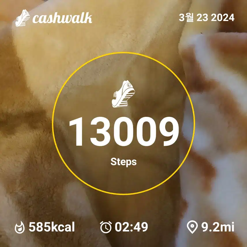 1000008758.jpg