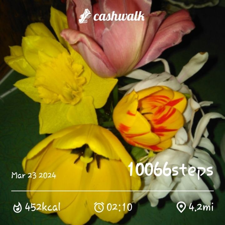 CashWalk_share_capture_20240323_1799ed4c-70de-414f-8c19-8e3102a2