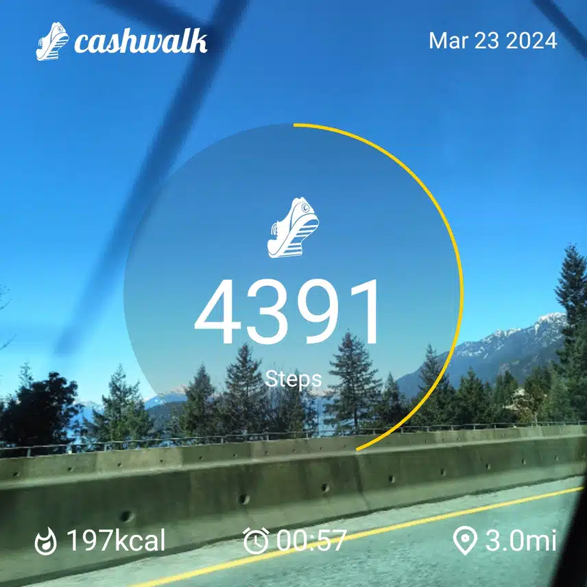 1000016519.jpg