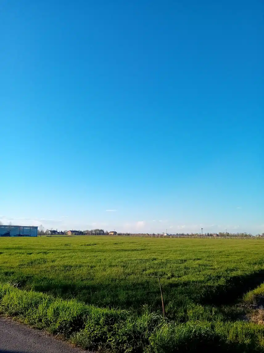 1000011084.jpg_resize