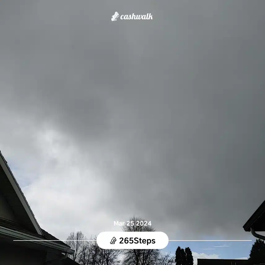 CashWalk_share_capture_20240325_7e4107d9-50d2-44db-b479-7197dfec