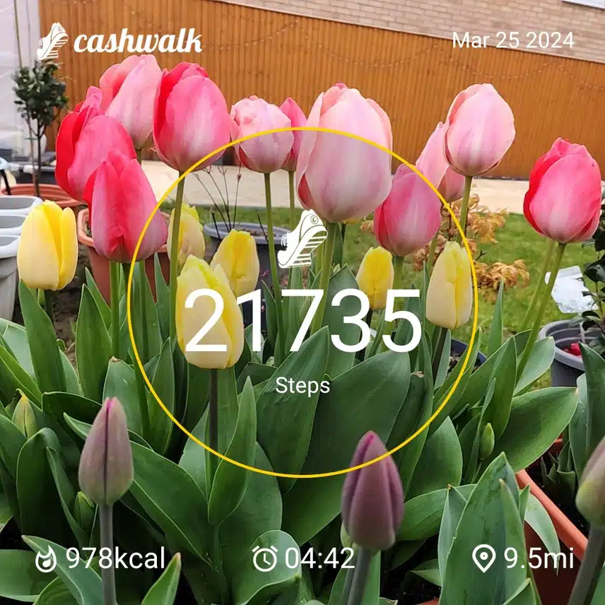 1000025481.jpg_resize