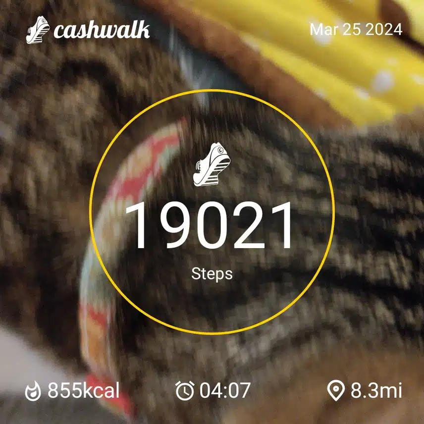 CashWalk_share_capture_20240325_fc2554f8-315a-451f-9a4e-f5d7ae7e