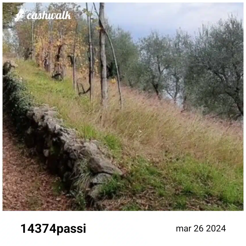 CashWalk_share_capture_20240326_fb4c95b0-5a36-4d51-8fca-452c7229