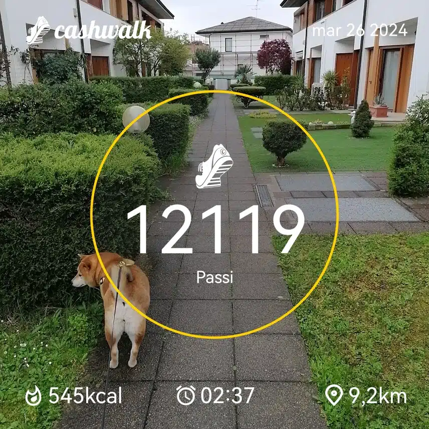 CashWalk_share_capture_20240326_a97b9783-0e8f-4ae1-9890-d03975f4