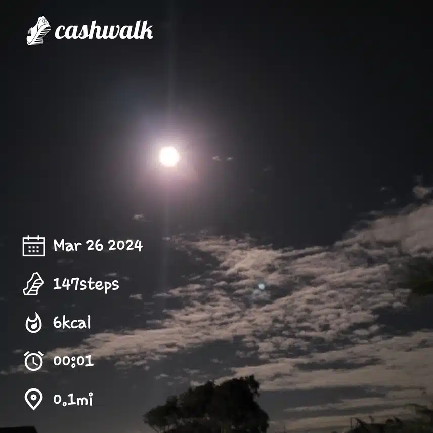 CashWalk_share_capture_20240326_4af40ac4-adb7-40d2-9d29-329322c3