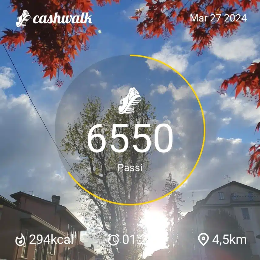 CashWalk_share_capture_20240327_90d9190f-e31d-4914-9384-6c9f5ab6