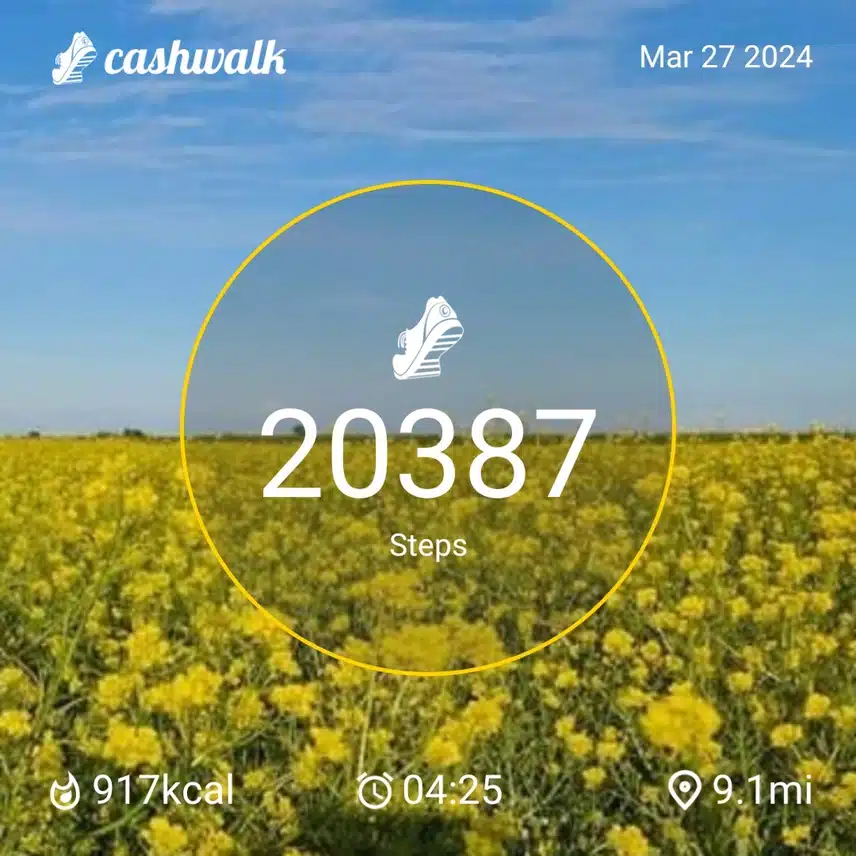 CashWalk_share_capture_20240327_dc27b868-1590-4875-8950-b0b7993f