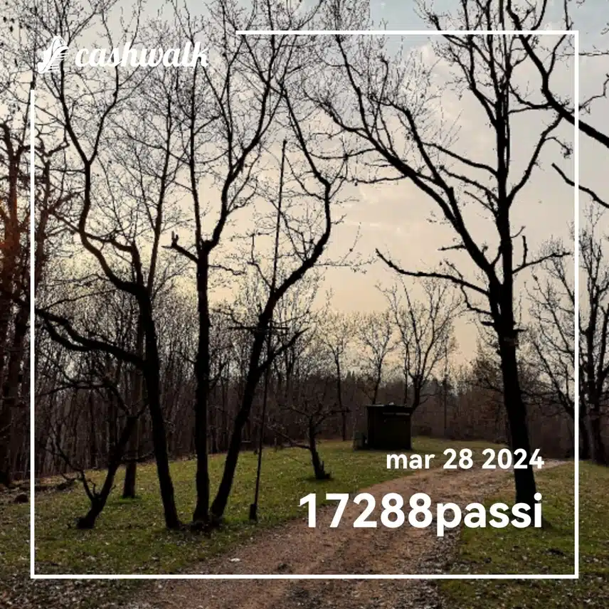 CashWalk_share_capture_20240328_5e3239c9-c377-4f22-a209-02f9cb08
