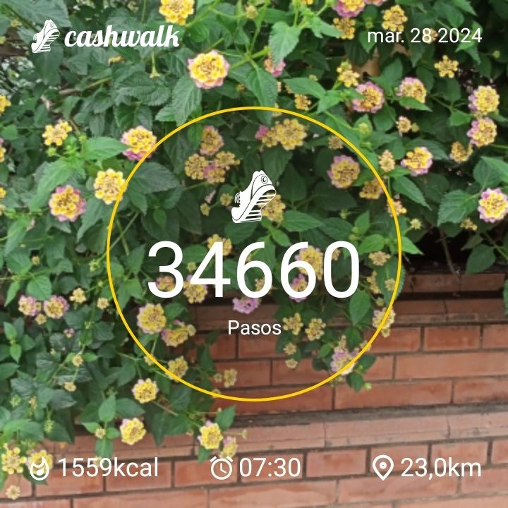 CashWalk_share_capture_20240328_ac240727-07b0-4df4-9765-e7a14c1a