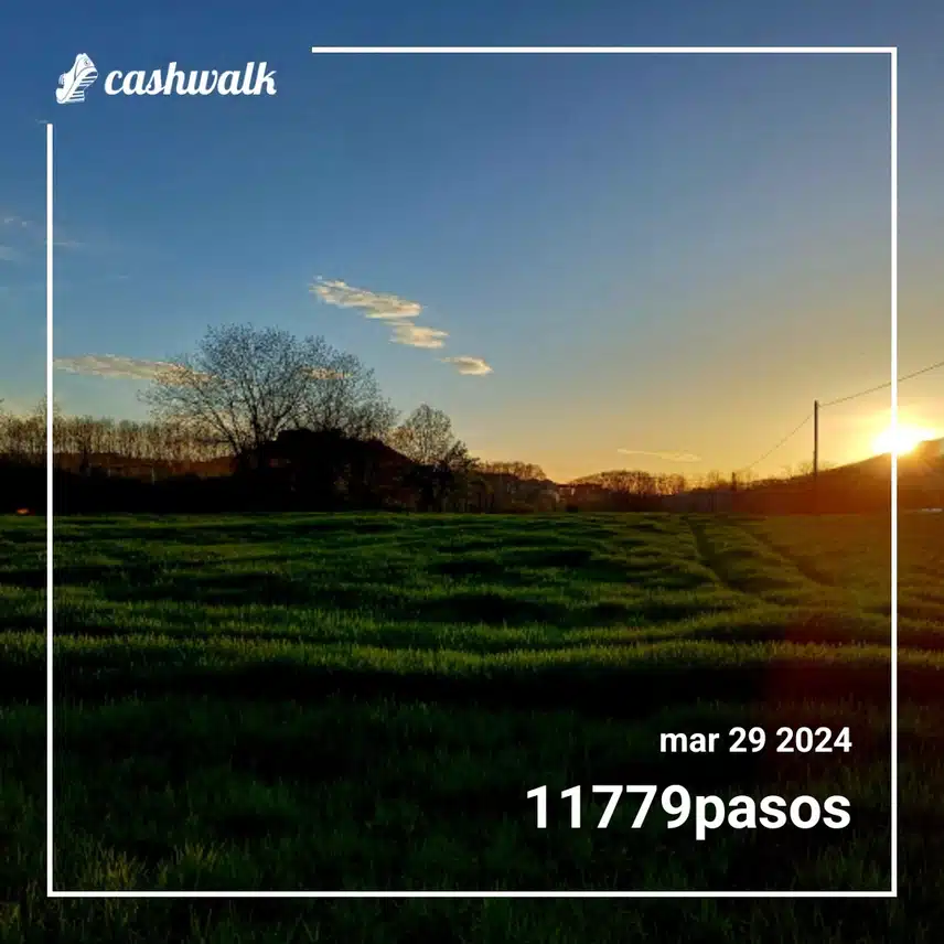 CashWalk_share_capture_20240329_0af88a15-41f9-4c0d-b406-c2607f22