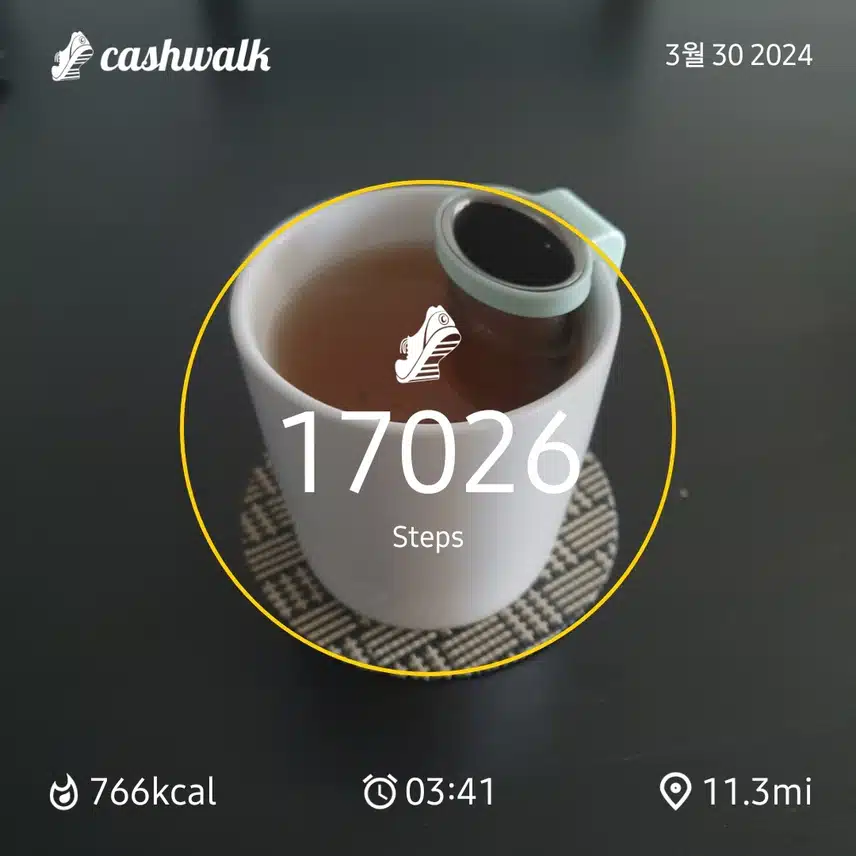 CashWalk_share_capture_20240330_d4203488-5491-4324-94df-5d1e8166