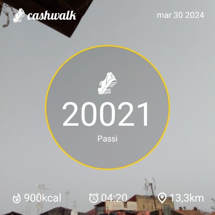 1000009097.jpg_resize
