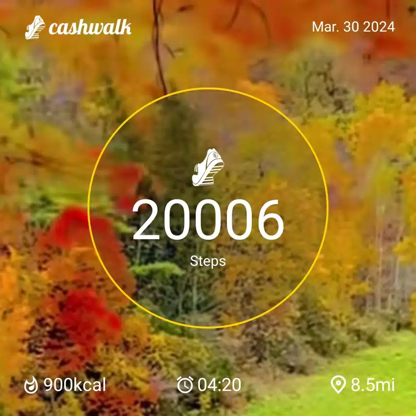 CashWalk_share_capture_20240330_68e18a89-cbeb-44ac-bcdf-518be099